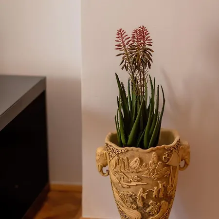 Apartment Bascarsija Stroll Sarajevo